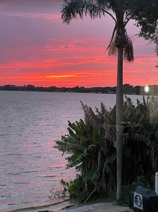 Lakefront Duplex With Pontoon Boat 3 Bed House Mount Dora Eksteriør billede